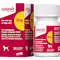 Galliprant 20 mg for Dogs