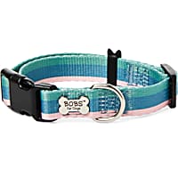 BOBS from Skechers Loverboy Colorblocked Dog Collar