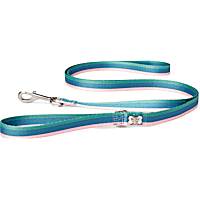 BOBS from Skechers Loverboy Colorblocked Dog Leash