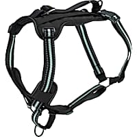 PetSafe Walk-Along Outdoor Dog Harness