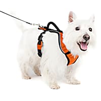 PetSafe EasySport Dog Harness