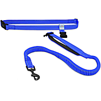 Hands free leash petco sale