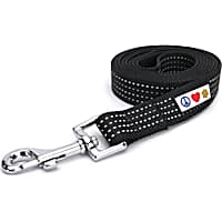 Pawtitas 6 feet Black Reflective Puppy or Dog Leash