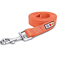 Pawtitas 6 feet Orange Reflective Puppy or Dog Leash
