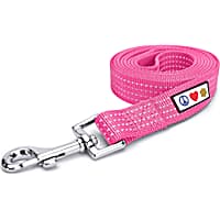 Pawtitas 6 feet Pink Reflective Puppy or Dog Leash