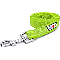 Pawtitas 6 feet Green Reflective Puppy or Dog Leash