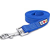 Pawtitas 6 feet Blue Reflective Puppy or Dog Leash