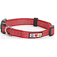 Light up clearance dog collar petco
