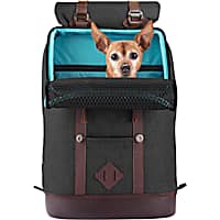 Kurgo Heather Black K9 Rucksack for Dogs