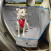 Kurgo Heather Grey Half Hammock for Dogs