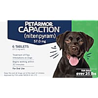 Flea Tick Pills for Dogs Chews Tablet Treatments Petco