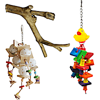 A&E Cage Company Starter Bundle for Small Birds