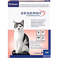 Cat Pharmacy Prescription Cat Medicine Petco Pet Pharmacy