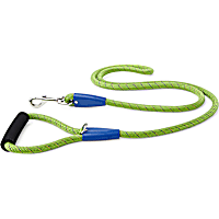YOULY The Adventurer Green & Blue Dog Leash