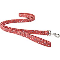 YOULY The Wanderer Red & Multicolor Triangle-Print Dog Leash