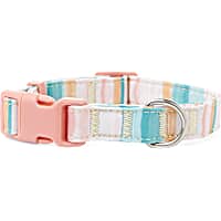 YOULY The Artist Striped Watercolor Dog Collar