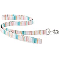 YOULY The Adventurer Multicolor Watercolor Striped Dog Leash