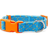 YOULY The Adventurer Teal & Orange Webbed Nylon Dog Collar