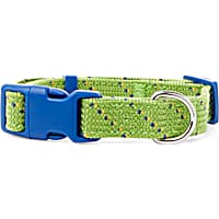 YOULY The Adventurer Green & Blue Webbed Nylon Dog Collar