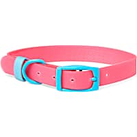 YOULY The Extrovert Water-Resistant Pink & Blue Colorblocked Dog Collar