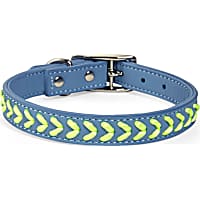YOULY The Extrovert Blue & Rainbow Braided Dog Collar