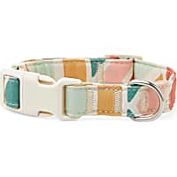 YOULY The Wanderer Rainbow Striped Dog Collar