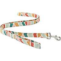 YOULY The Wanderer Rainbow Striped Dog Leash