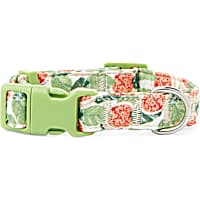 YOULY The Wanderer Green & Multicolor Go Fig-ure Dog Collar