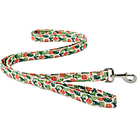 YOULY The Wanderer Green & Multicolor Go Fig-ure Dog Leash