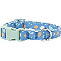 YOULY The Artist Blue & Multicolor Paint Splatter Dog Collar
