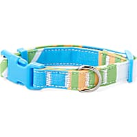 YOULY The Champion Multicolor Striped Dog Collar