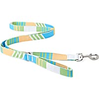 YOULY The Champion Multicolor Striped Dog Leash
