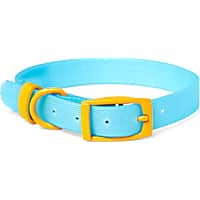 YOULY The Extrovert Water-Resistant Blue & Yellow Colorblocked Dog Collar