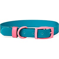 YOULY The Extrovert Water-Resistant Teal & Pink Colorblocked Dog Collar