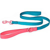 YOULY The Extrovert Water-Resistant Teal & Pink Colorblocked Dog Leash