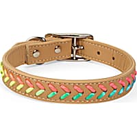 YOULY The Extrovert Tan & Rainbow Braided Dog Collar