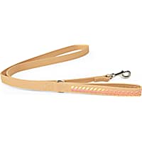 YOULY The Extrovert Tan & Rainbow Braided Dog Leash