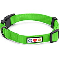 Pawtitas Solid Color Green Puppy or Dog Collar