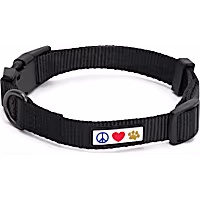 Pawtitas Solid Color Puppy or Dog Collar