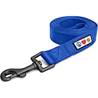Pawtitas Solid Blue Puppy or Dog Leash