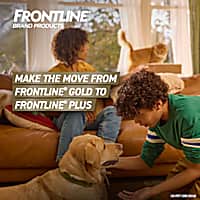 FRONTLINE Gold Flea & Tick Treatment for Cats