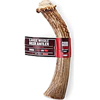 Good Lovin' Naturally Shed Whole Deer Antler Dog Chew