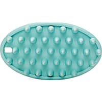 Well & Good Large Massaging Curry Brush for Dogs