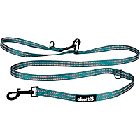 alcott Blue Adjustable Dog Leash
