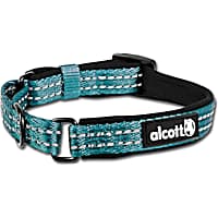 alcott Blue Martingale Dog Collar