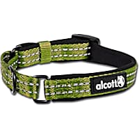 Martingale collar petco online