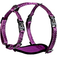 alcott Purple Adventure Dog Harness