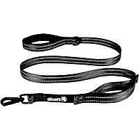 alcott Traffic Dog Leash