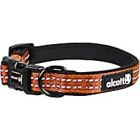 alcott Neon Orange Visibility Dog Collar