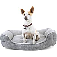 EveryYay Snooze Fest Grey Rectangle Nester Box Dog Bed